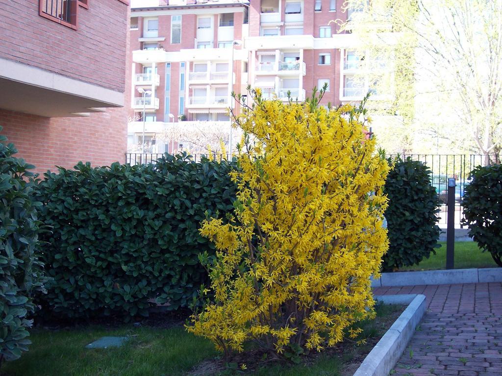 B&B Il Parco Parma Dış mekan fotoğraf