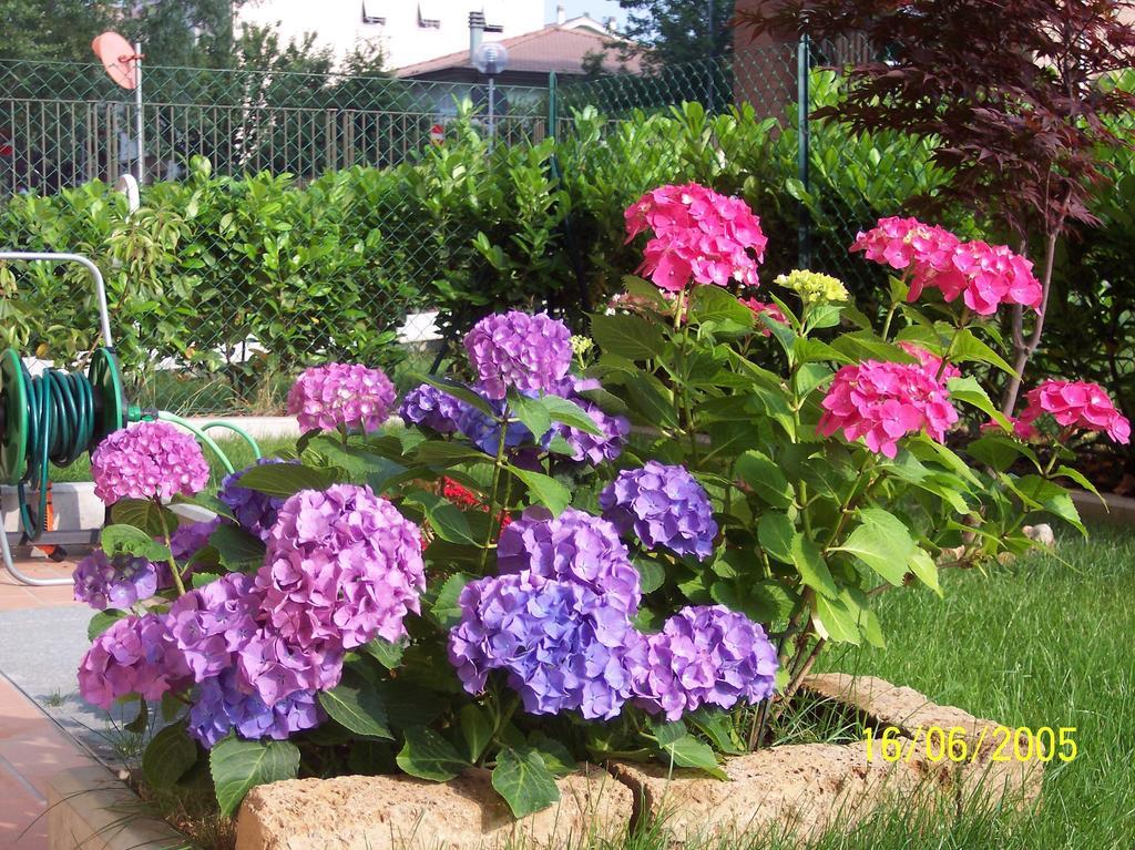 B&B Il Parco Parma Dış mekan fotoğraf